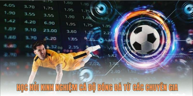 Học hỏi kinh nghiệm chơi cá độ hiệu quả từ chuyên gia