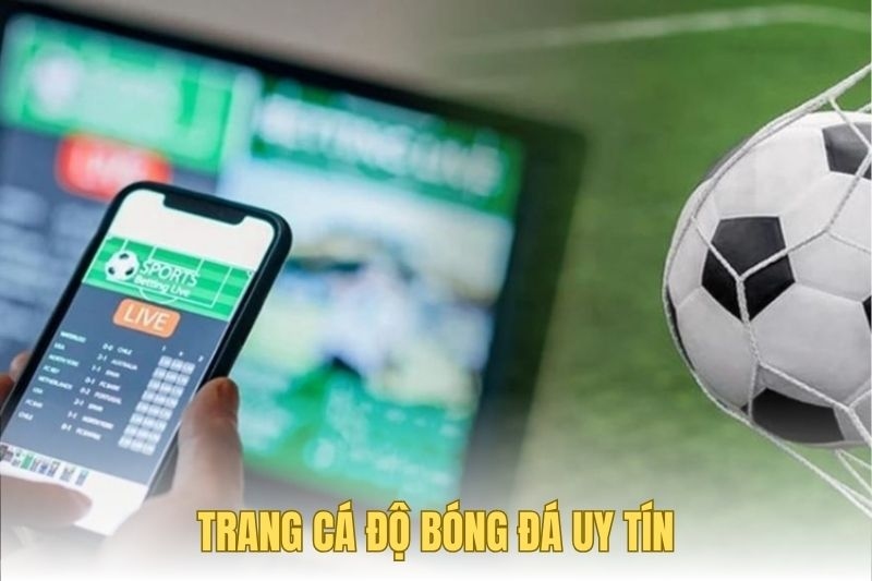 Trang cá độ bóng đá uy tín